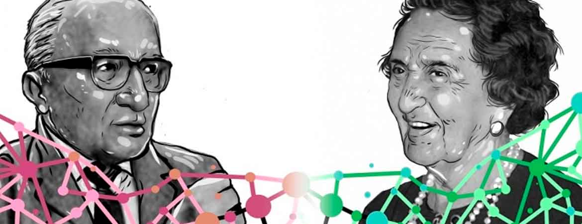 investigadores peruanos (Renacyt)