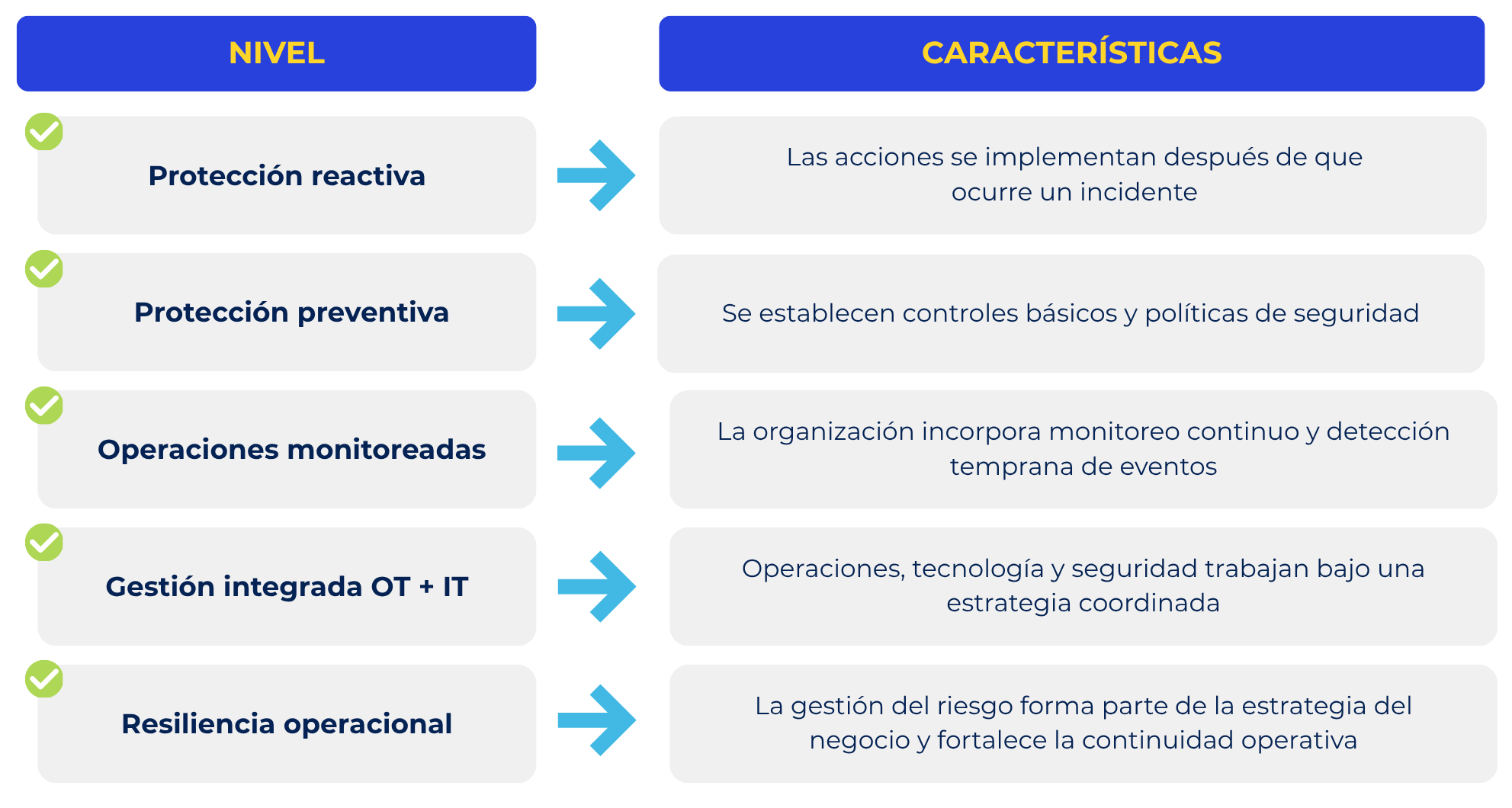 ciberseguridad
